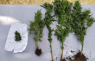 Hatay’da uyuşturucu operasyonu