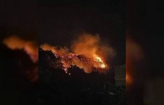 Hatay’da zeytinlik alanda korkutan yangın