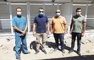 Hayırsever vatandaş can dostlarına barınak kazandırdı