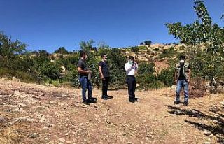 “Hayvan dostu” projesi hayata geçiriliyor