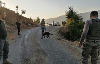 Hizan’da PKK’nın yola döşediği EYP imha edildi