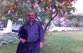 Hüyük’teki kazada yaralanan sürücü de hayatını...