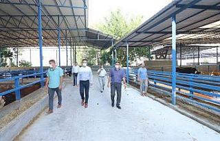 İl Müdürü Recep Bulut, kalkınma yatırımlarını...
