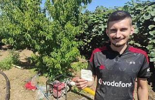 İnsanlık ölmemiş...Topladığı şeftalinin parasını...