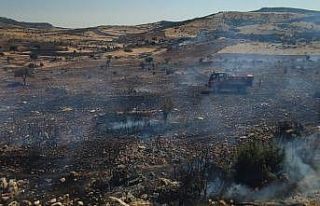 İslahiye’de tarım alanında yangın çıktı