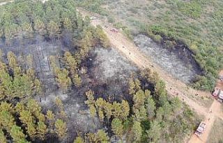 İstanbul’da Aydos Ormanı’nda çıkan yangın...