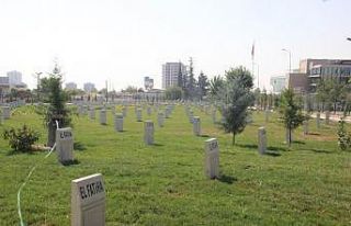 İstiklal savaşına tanıklık edenlerin mezarlarının...