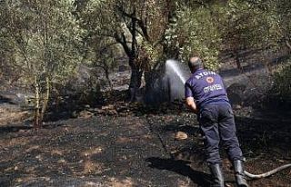 İtfaiye Daire Başkanı Adanır; "Yangın söndürme...