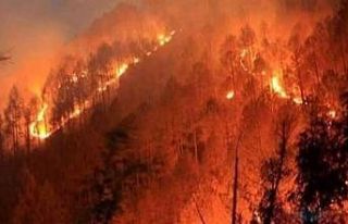 İtfaiyeden orman yangını uyarı