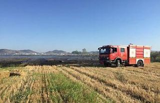 İzmir’de 100 zeytin ağacı ve 250 saman balyası...