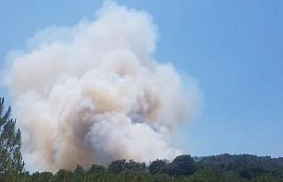 İzmir’de bir orman yangını daha çıktı