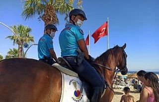 İzmir’de jandarma ekipleri çeşitli suçlardan...