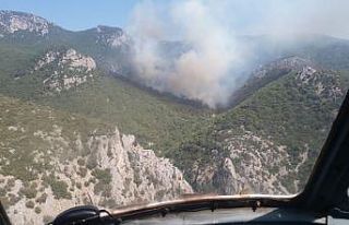 İzmir’de orman yangını: Ekipler müdahale ediyor