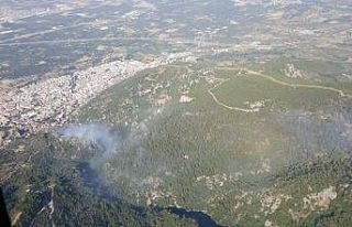İzmir’de peş peşe orman yangınları