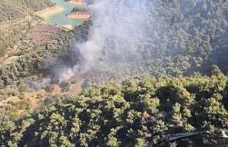 İzmir’deki orman yangını kontrol altında