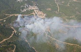 İzmir’in Menderes ilçesi Görece mevkiinde orman...