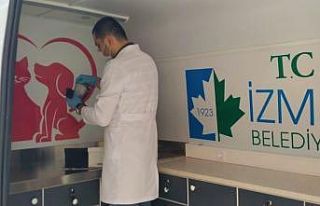 İzmit’te yaralanan güvercinin yardımına belediye...