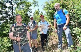 İznik’in saklı güzelliklerinden Tacir Kanyonu...
