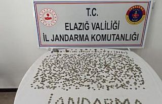 Jandarma alıcı kılığına girdi, Roma dönemine...