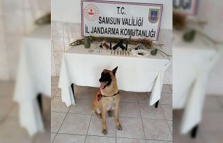 Jandarmadan uyuşturucu operasyonu: 1 gözaltı