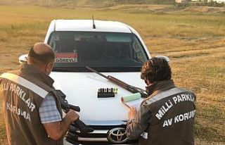 Kaçak Bıldırcın avlayanların silahlarına el...