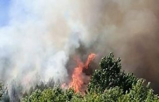 Kahramanmaraş’ta 1 hektar alan zarar gördü