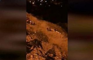 Kahramanmaraş’ta trafik kazası: 1 ölü, 3 yaralı