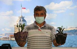 Kalıp ustası, atık kumaştan saksı üretirken...