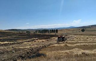 Karabük’te 25 dönümlük tarım arazisi yandı