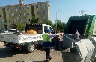 Karacasu’da çöp konteynerleri dezenfekte ediliyor