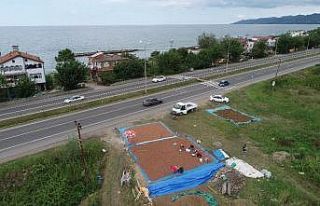 Karadeniz Sahil Yolu kenarları, fındık harmanı...