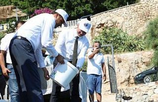 Kaş’ta 15 bin yavru balık denize salındı