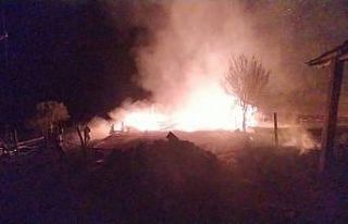 Kastamonu’da çıkan yangında 5 samanlık ve 500...