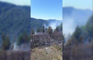 Kastamonu’da ormanlık alanda çıkan yangını...
