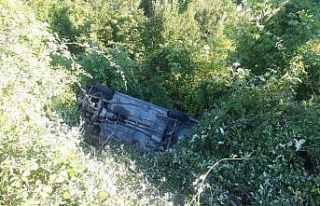 Kastamonu’da otomobil şarampole uçtu: 1 yaralı
