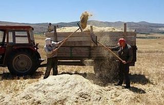 Kavurucu sıcakta çiftçilerin zorlu mesaisi