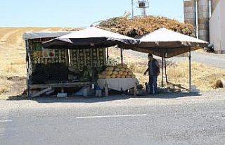 Kavurucu sıcakta karpuz satarak ekmek parasını...