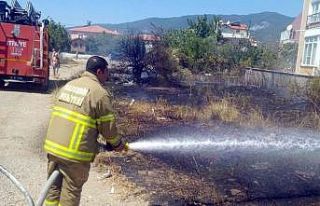 Kaynak makinesinden çıkan kıvılcım zeytin ağaçlarını...