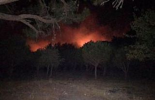 Kazdağları’ndaki yangını büyümeden söndürüldü