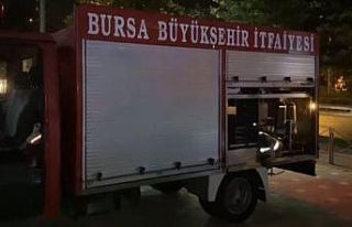 Kedi kurtarma operasyonu