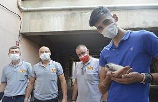 Kedi yavrusu duvar delinerek kurtarıldı