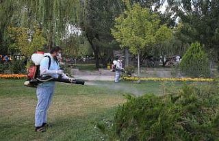 Kene ve haşerelere karşı güvenlik önlemi alındı