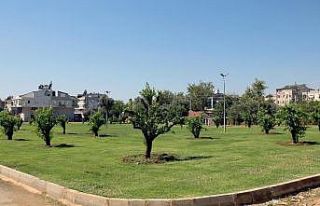 Kepez’e 30 ağaçlı portakal bahçesi kazandırıldı