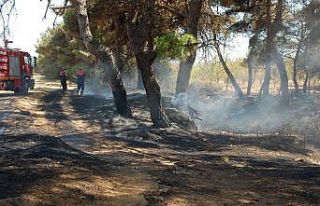 Keşan Kaymakamlığı’ndan orman yangınlarına...