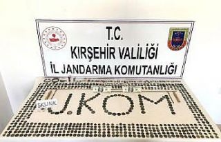 Kırşehir jandarmasından tarihi eser operasyonu
