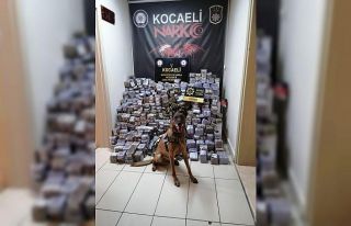Kocaeli’de 330 kilogram esrar ele geçirildi