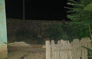 Konya’da evin bahçesinde Hint keneviri ele geçirildi