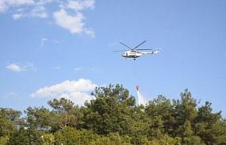 Korudağ’da ormanlık alanda çıkan yangın korkuttu