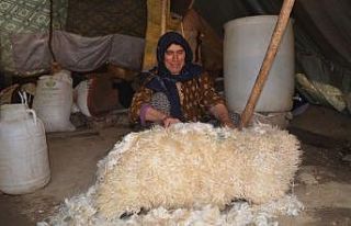 Koyun postu içinde kışlık peynir üretiliyor