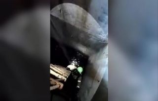 Küçükçekmece’de kuyuya düşen kediler böyle...